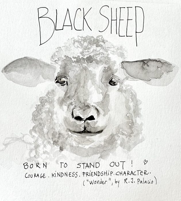 Black Sheep